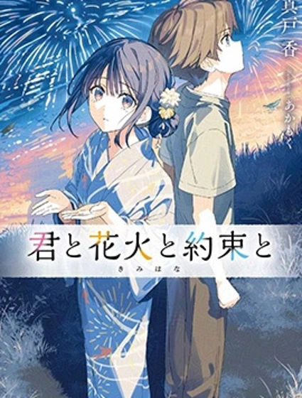 你与烟花与约定封面
