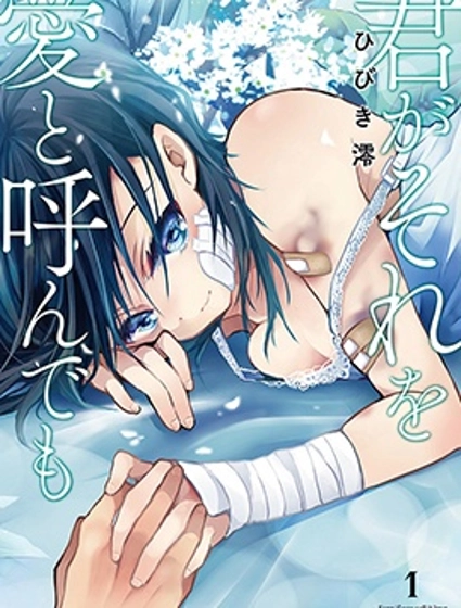 就算你把那叫做愛情