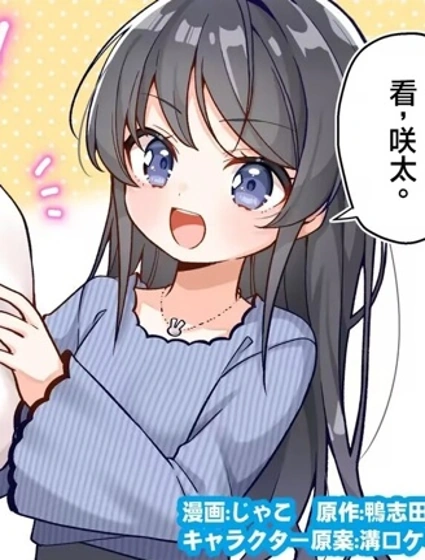 青春豬頭少年不會夢到珍藏的歲月封面