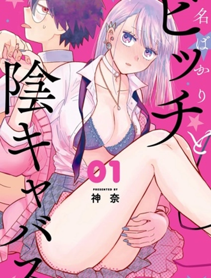 純潔碧池與陰角魅魔