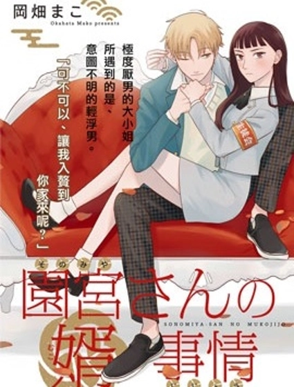 园宫小姐的天降赘婿