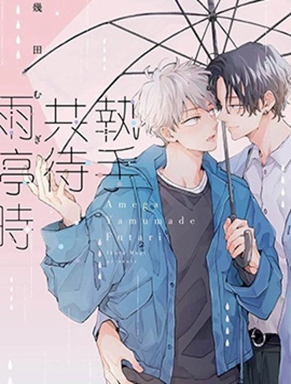 執手共待雨停時封面